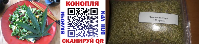 блэк спрут онион  Рошаль  Cannafood конопля 